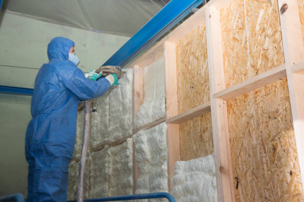 Best Insulation Repair Services  in USA