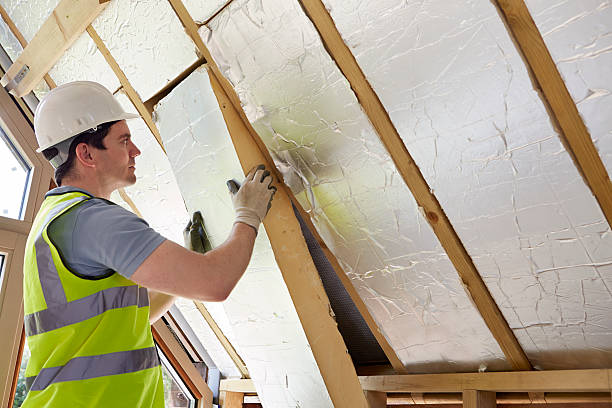 Best Insulation Replacement Services  in USA